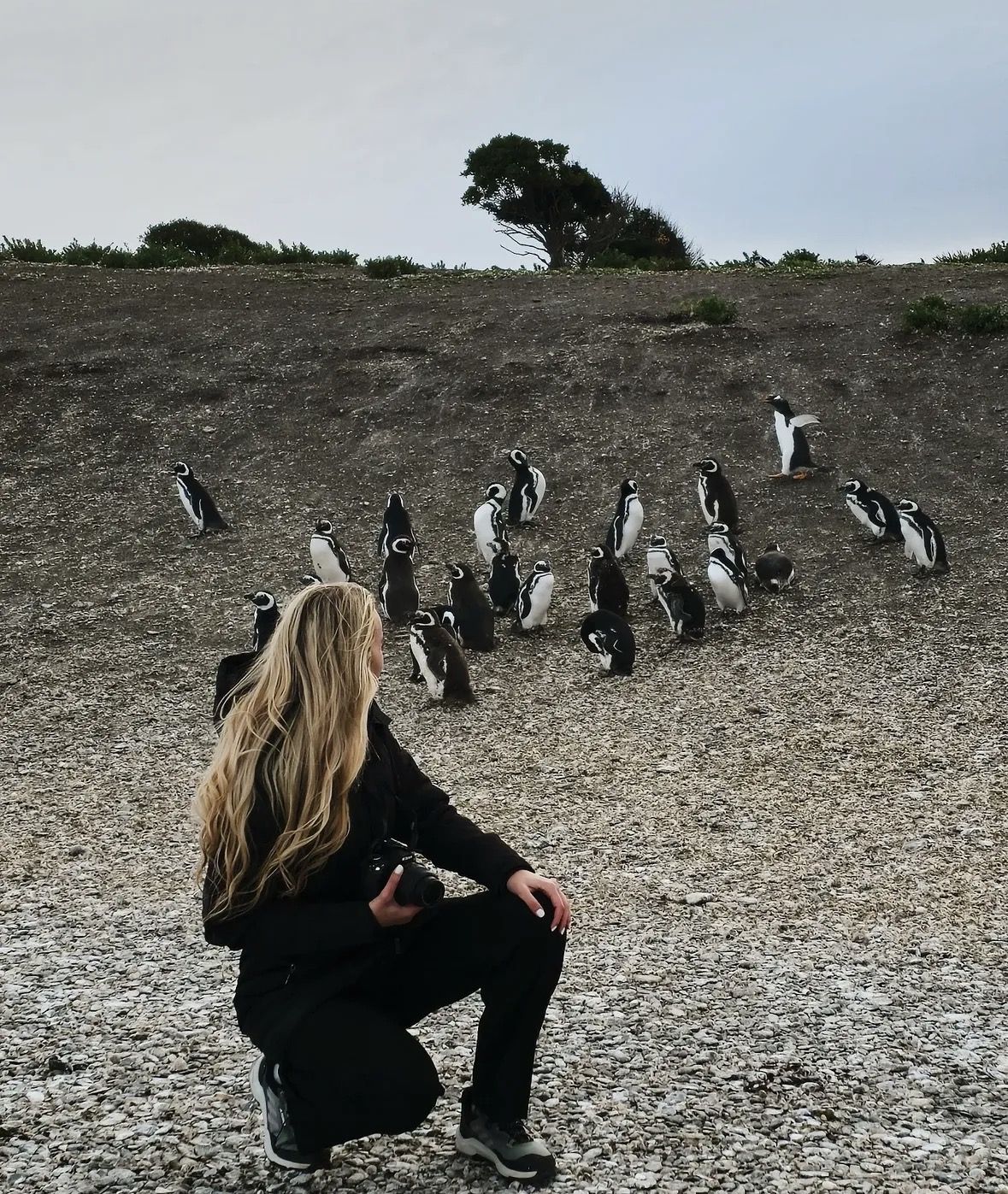 Navigation in the Beagle Channel with minitrekking USHUAIA