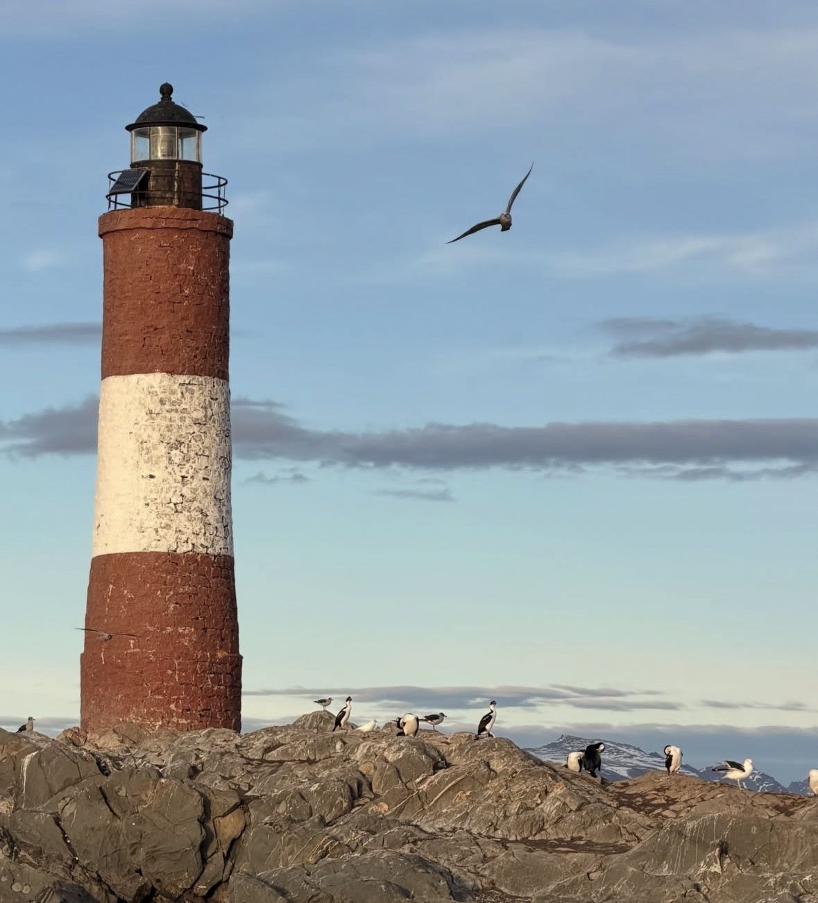 Navigation in the Beagle Channel with minitrekking USHUAIA